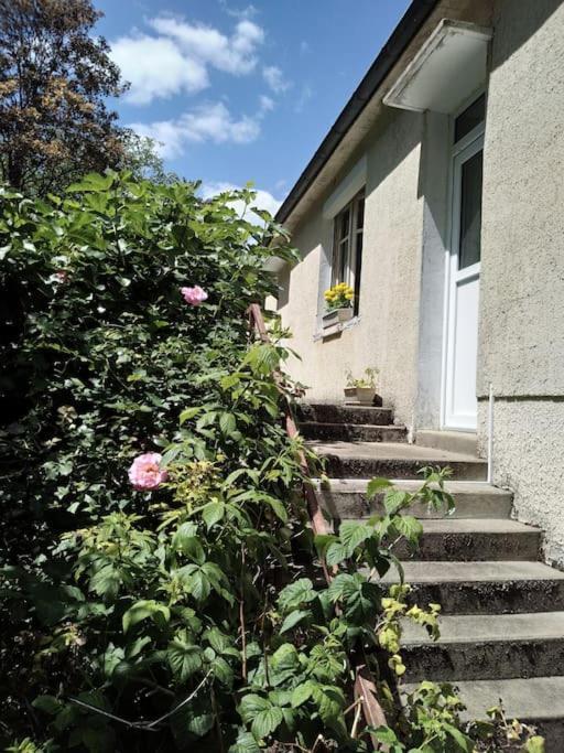 Maison De Village En Bord De Riviere Narcy Buitenkant foto